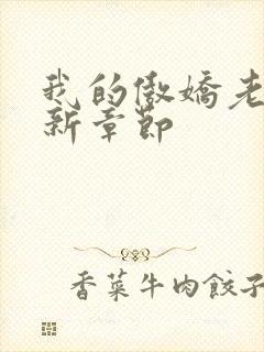 我的傲娇老婆最新章节