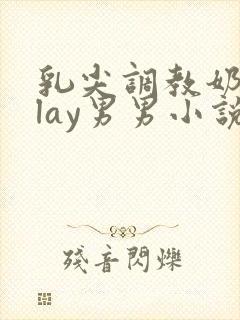 乳尖调教奶头play男男小说