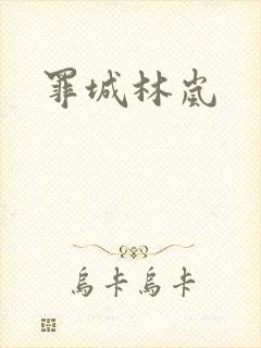 罪城林岚封面