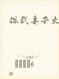 总裁妻子太诱人