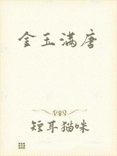 金玉满唐