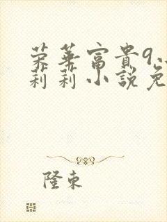 荣华富贵9小王莉莉小说免费阅读封面