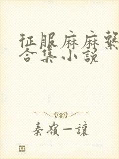 征服麻麻系列大合集小说