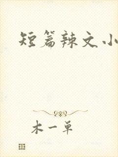 短篇辣文小说