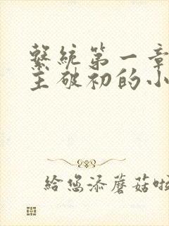 系统第一章给宿主破初的小说