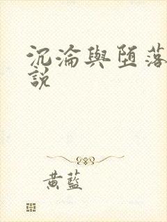 沉沦与堕落的小说封面