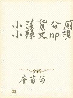 小荡货公厕h文小辣文np视频封面