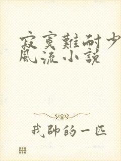 寂寞难耐少妇的风流小说