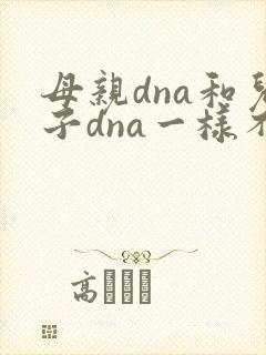 母亲dna和儿子dna一样不