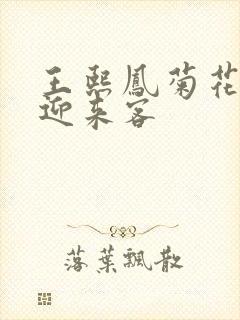 王熙凤菊花门初迎来客