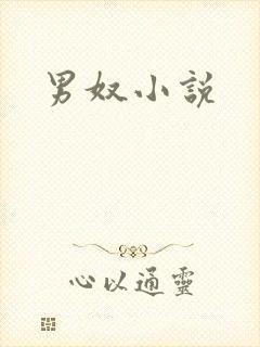 男奴小说封面