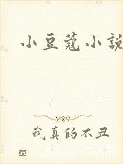 小豆蔻小说封面