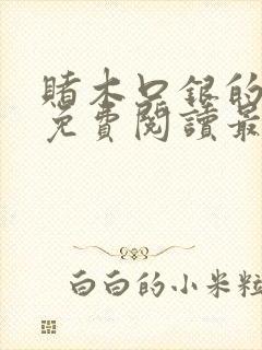 赌木口银的小说免费阅读最新封面