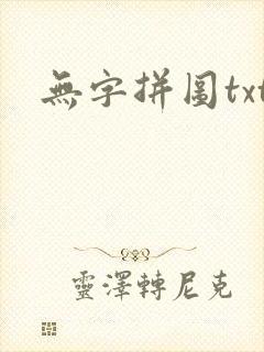 无字拼图txt