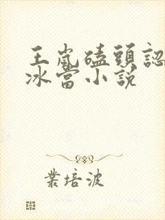 王岚磕头认林若冰当小说