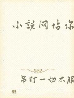 小说网站你懂的