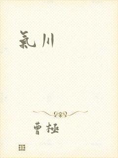 气川封面