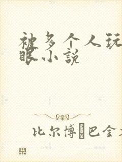 被多个人玩屁股眼小说封面