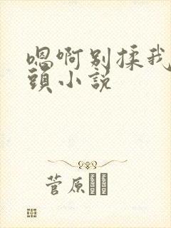 嗯啊别揉我的奶头小说