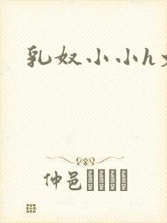 乳奴小小h文