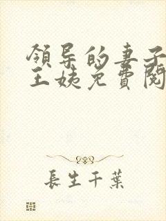 领导的妻子小说王姨免费阅读全文封面