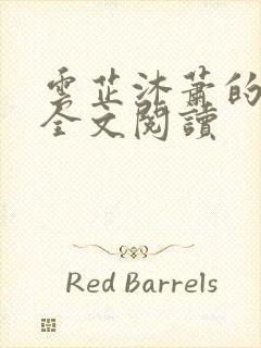 云芷沐萧的小说全文阅读