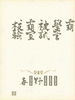 校霸被学霸压实验室试管
