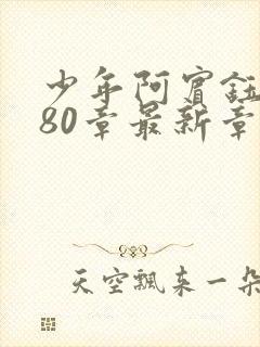 少年阿宾钰慧篇80章最新章节封面