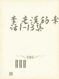 李老汉的幸福生活1-13集