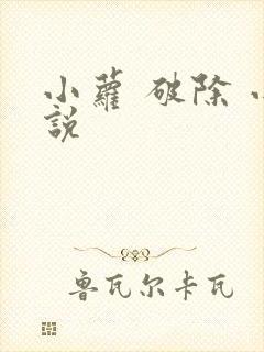 小萝 破除 小说