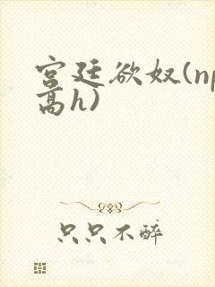 宫廷欲奴(np高h)