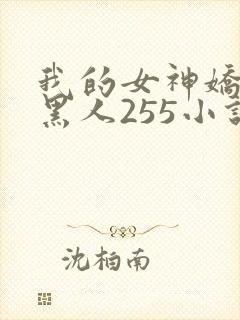 我的女神娇妻与黑人255小说封面