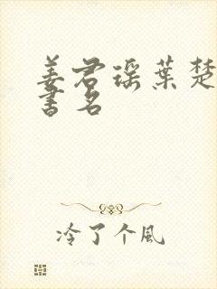 姜君瑶叶楚小说书名