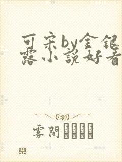 可宋by金银花露小说好看吗