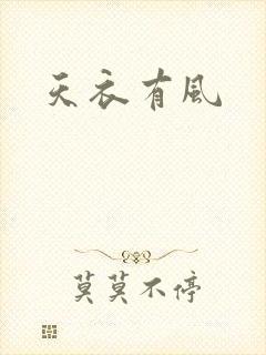 天衣有风封面
