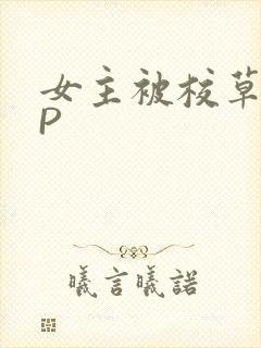 女主被校草们NP