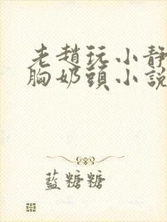 老赵玩小静揉捏胸奶头小说封面