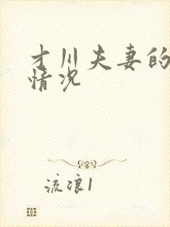 才川夫妻的恋爱情况封面