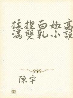 揉捏白嫩高耸饱满双乳小说