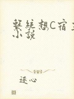 系统想C宿主的小说