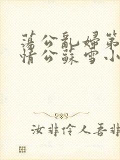 荡公乱妇第1章情公苏雪小说