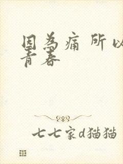 因为痛 所以叫青春