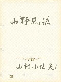 山野风流封面