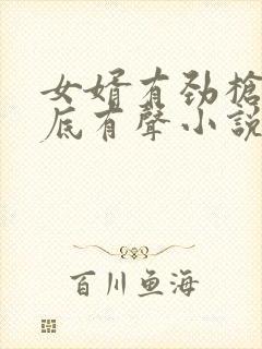 女婿有劲枪枪到底有声小说