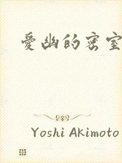 爱幽的密室小说