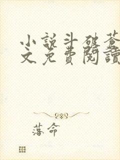 小说斗破苍穹全文免费阅读笔趣阁