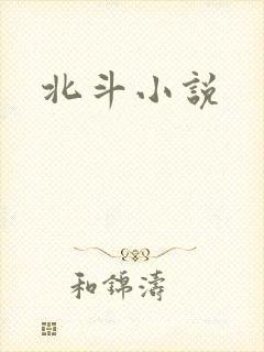北斗小说