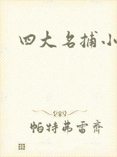 四大名捕小说
