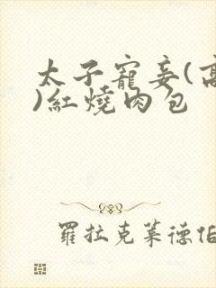太子宠妾(高肉)红烧肉包