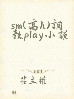 sm(高h)调教play小说